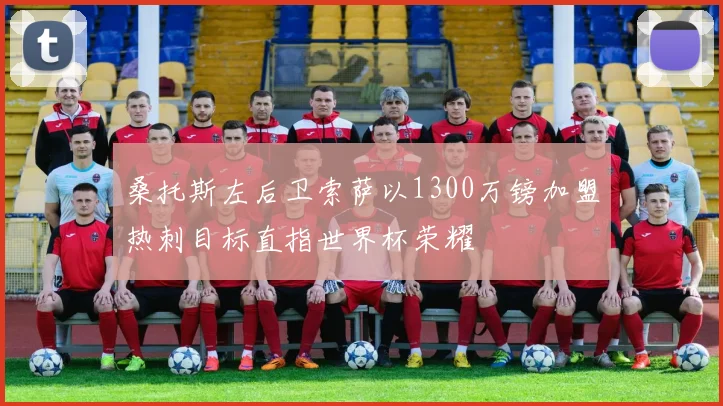 桑托斯左后卫索萨以1300万镑加盟热刺目标直指世界杯荣耀